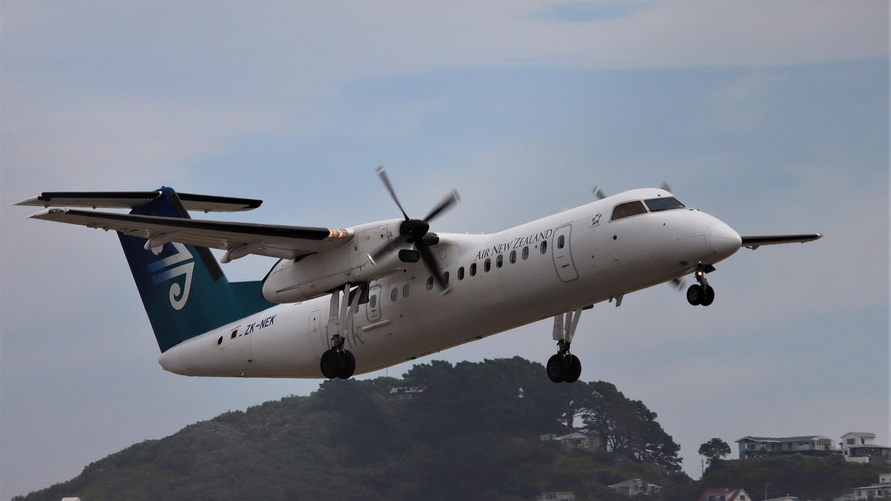 air new zealand